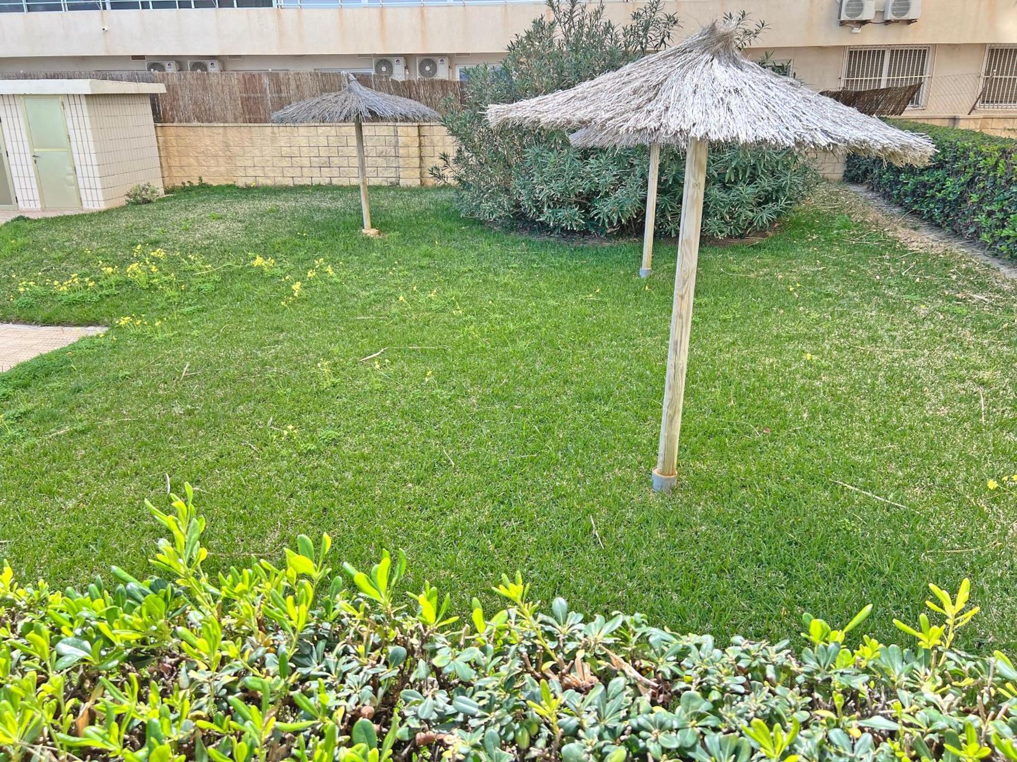 Appartement Oasis Frente Al Mar. Parking Gratis à El Campello Extérieur photo