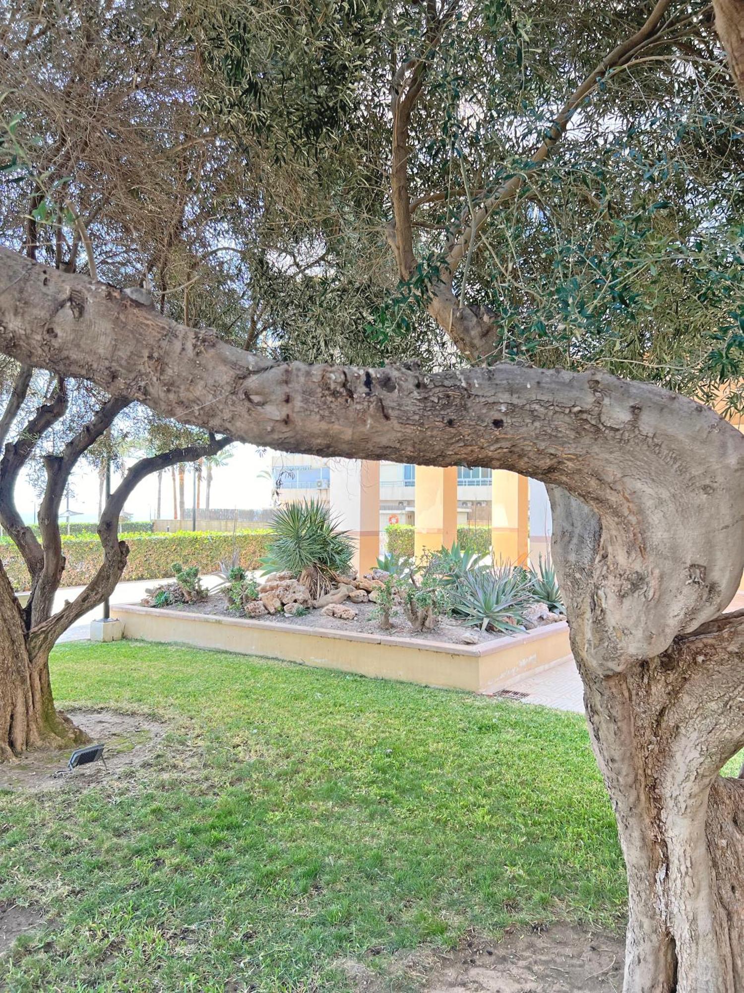 Appartement Oasis Frente Al Mar. Parking Gratis à El Campello Extérieur photo