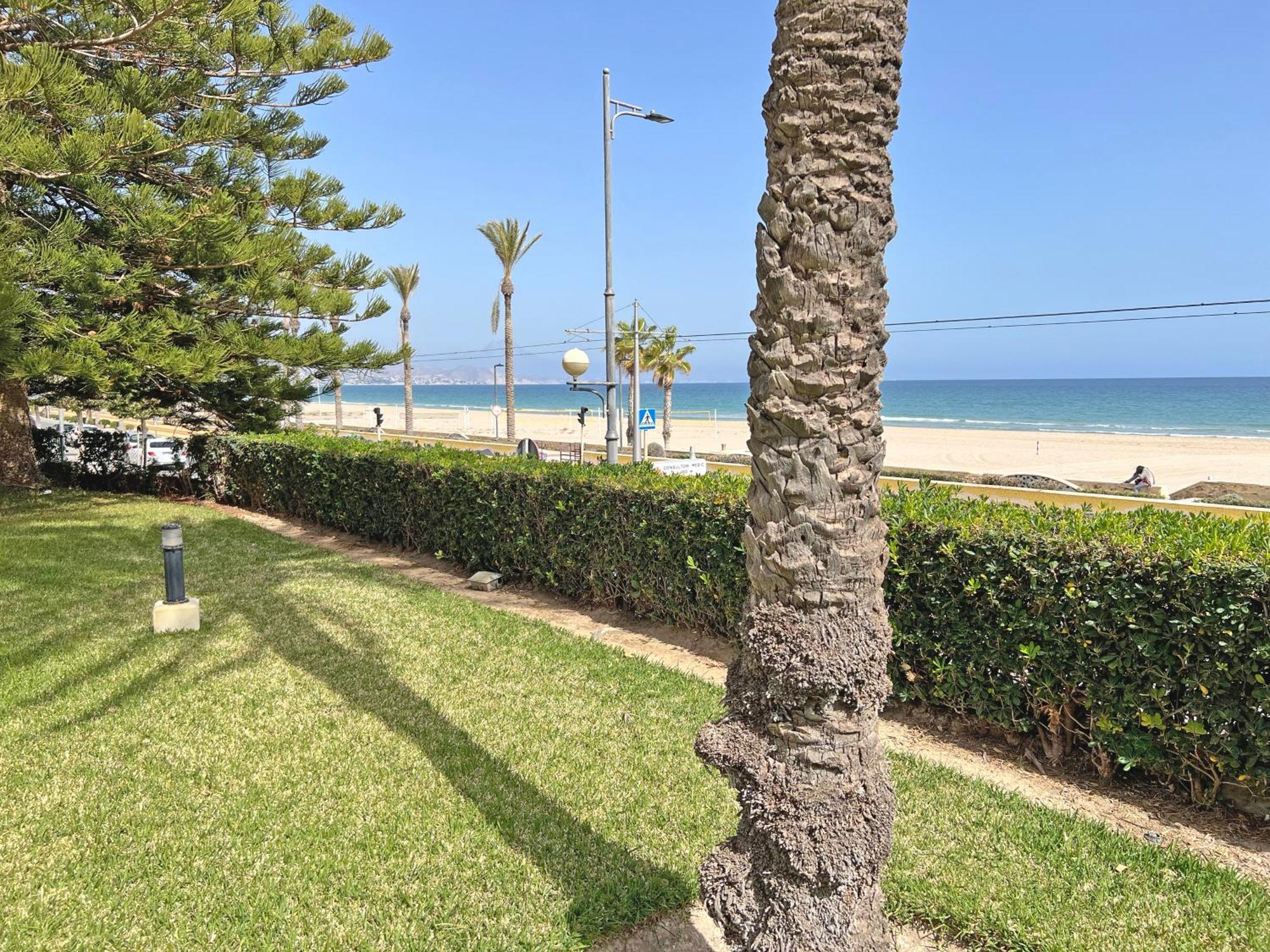 Appartement Oasis Frente Al Mar. Parking Gratis à El Campello Extérieur photo
